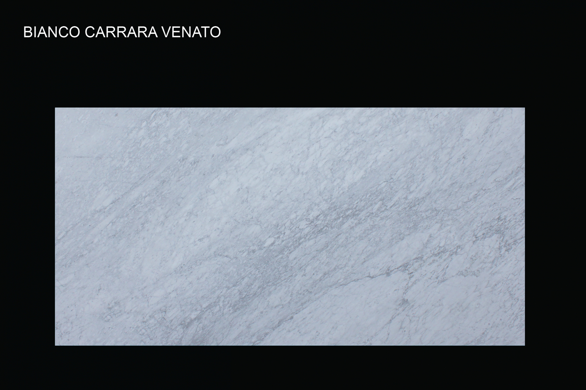 Bianco Carrara Venato