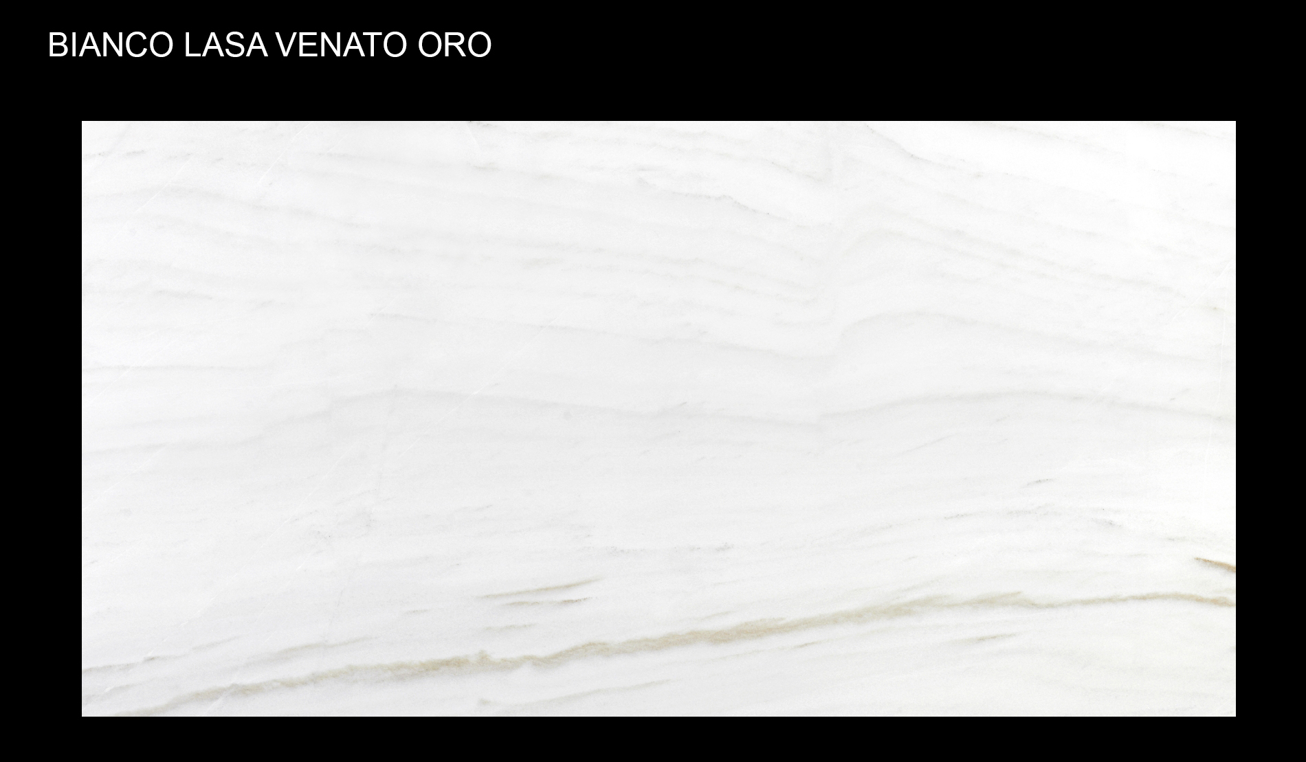 Bianco Lasa Vena Oro