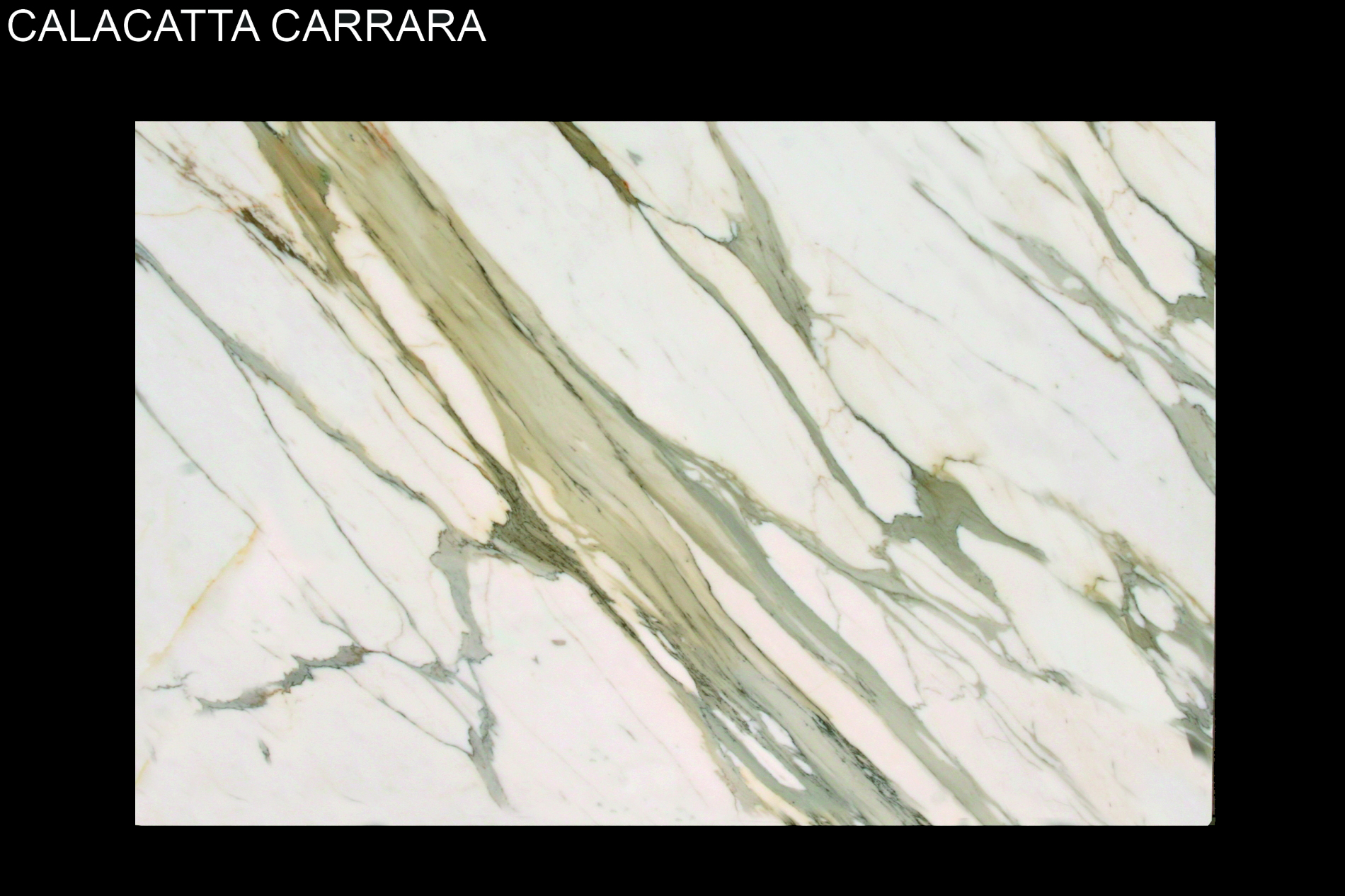 Calacatta Carrara